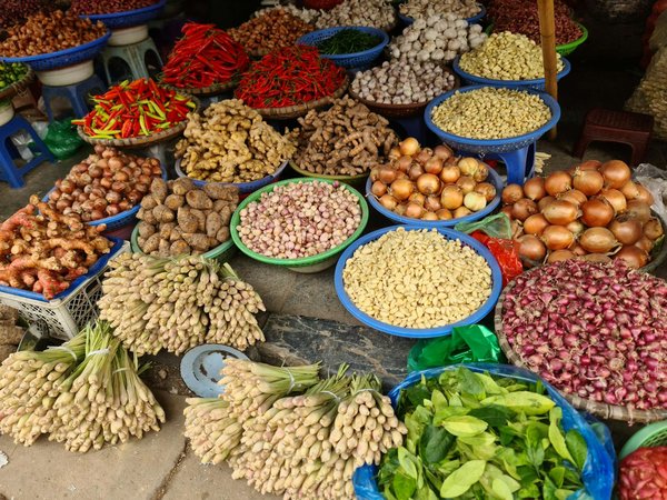 Dynamisez votre bar à smoothies : attirez les clients avec des boissons énergétiques naturelles !